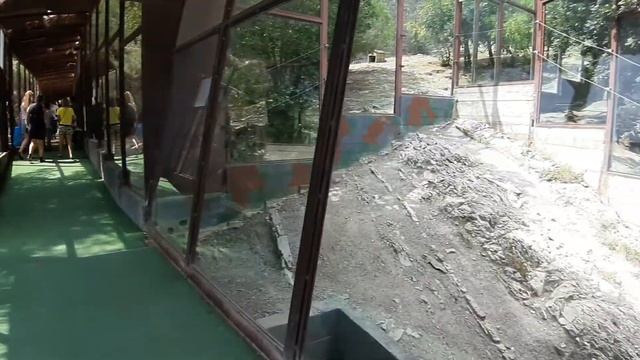 Хрустальный мост. Сафарипарк. Геленджик 2019г.