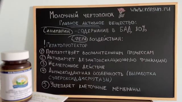Молочный чертополох НСП Силимарин расторопша гепатопротектор для Вашей печени 1 смотреть онлайн