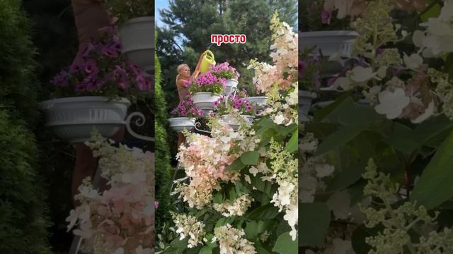 02-08-2024 смотреть онлайн