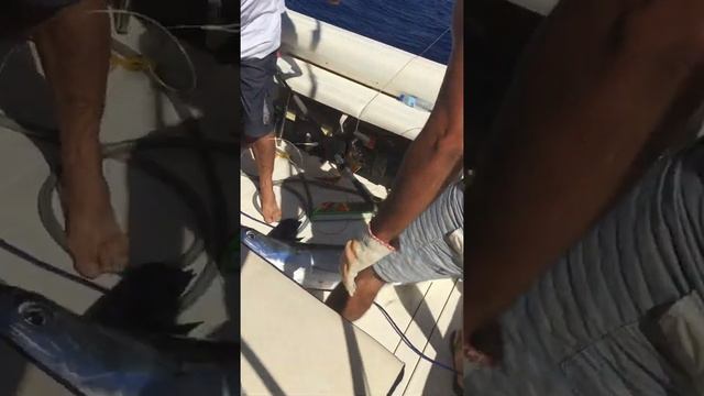 Big Game fishing Day смотреть онлайн