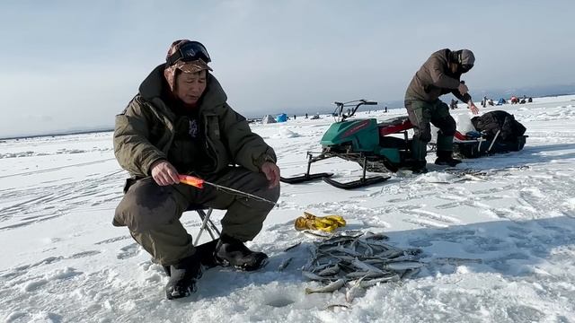 ОТКРЫТИЕ ЗУБАРЕВОЙ ЛИХОРАДКИ | Стародубск 2023 смотреть онлайн