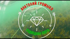 Подводная охота в Черном море 2023, июль