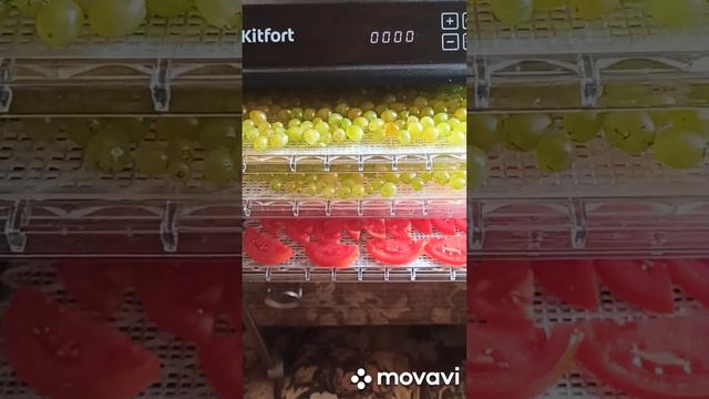 ☺️ 42 часа и мой изюм готов...🍇🍇🍇 смотреть онлайн