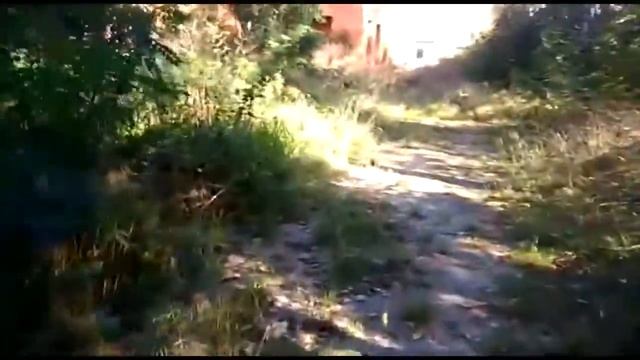 Изменения в парке им.  Ленина в г.  Клинцы.