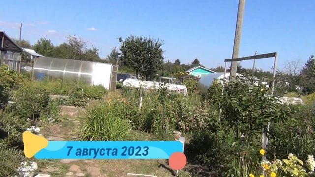 Борьба с травой. Солим огурцы на даче. смотреть онлайн