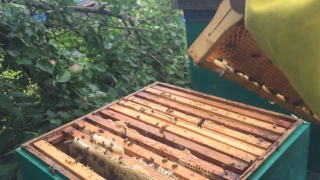 Работа семьи без разделительной решетки смотреть онлайн