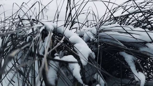 VID 20221211 214703 Так мы идем с тобой...1930 (П. Васильев)...Павел Васильев Лахтинский смотреть онлайн