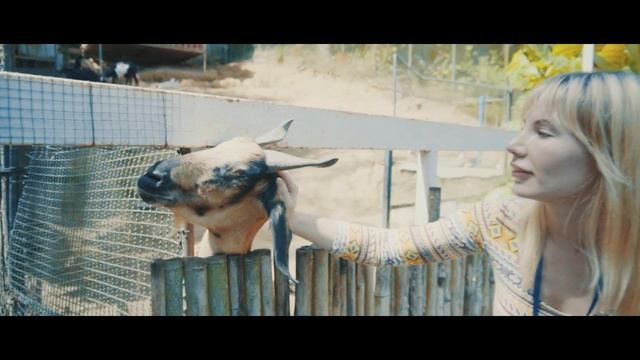 Контактный зоопарк на Пхукете (проверено, одобрено, рекомендовано) смотреть онлайн