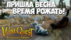 Пережили первую зиму! WolfQuest: Anniversary Edition #9