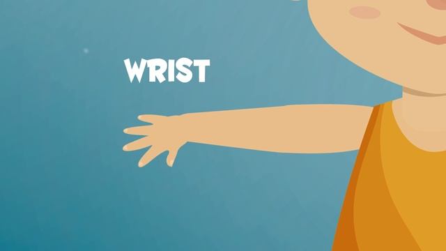 The Human Body for Kids - Trunk, Upper, and Lower Limbs смотреть онлайн