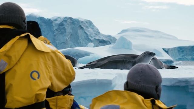 Why Travel to Antarctica with Quark Expeditions смотреть онлайн