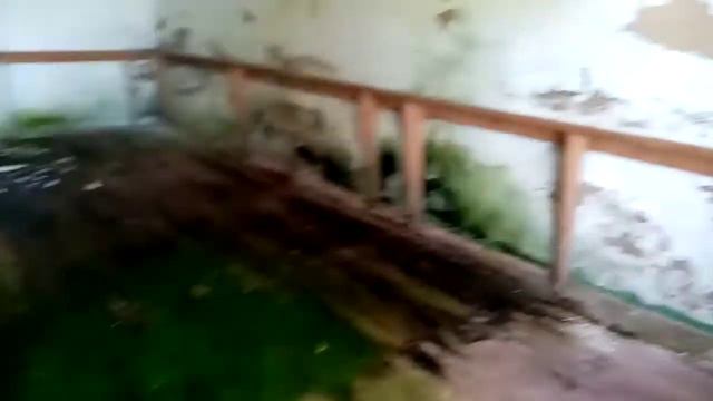 Плачевное состояние ДК п. ВНИИСС г. Гулькевичи смотреть онлайн