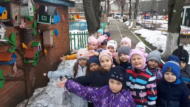 Экологическая акция "Покормите птиц зимой" гр 7 смотреть онлайн