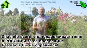 Азбука сидератов. Ч.3. Альтернативный сидерат КОСМЕЯ. ВМЕСТО ГОРЧИЦЫ - ОГРОМНАЯ польза КОСМЕИ.