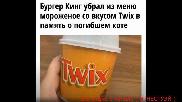 кот Твикс печальный тренд обзор смотреть онлайн