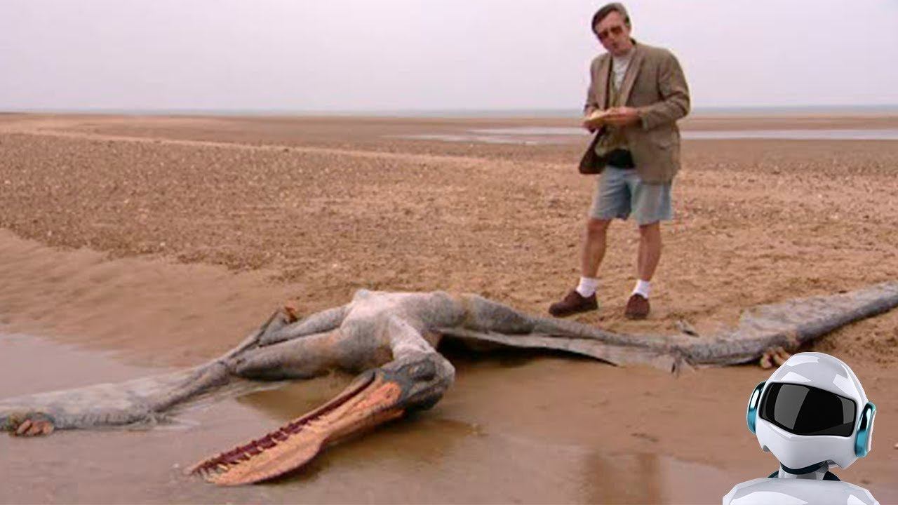 10 САМЫХ ДРЕВНИХ ЖИВОТНЫХ, КОТОРЫЕ НЕ ВЫМЕРЛИ смотреть онлайн