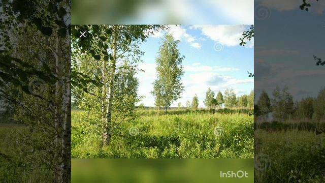 группа "Любе", "Отчего так в России березы шумят..." смотреть онлайн