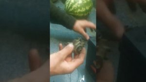 Как проверить щетки генератора легко и быстро