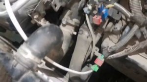 Peugeot 206  замена сальника гидротрансформатора.