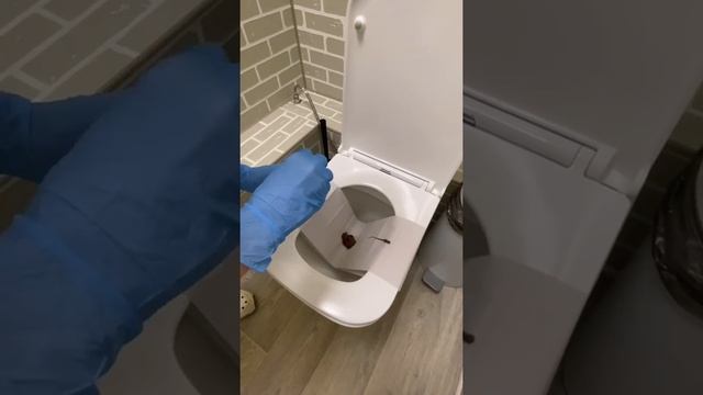 Как правильно сдавать кал? смотреть онлайн