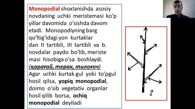 H.Q. Esanov | Novda. Kurtaklar. Novdada Barglarning Joylashishi. Novda Metamorfozlari.