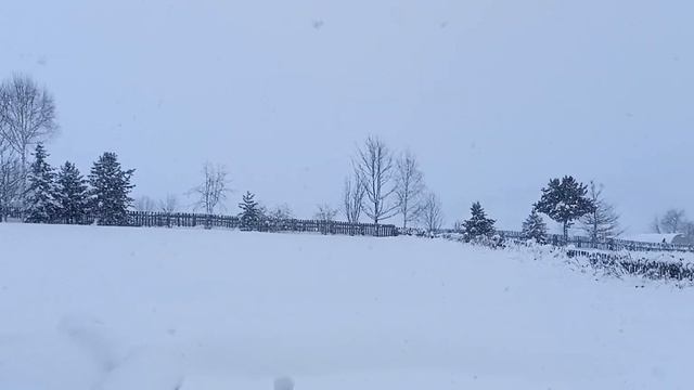 Снег идет, идет...кругом красота! смотреть онлайн