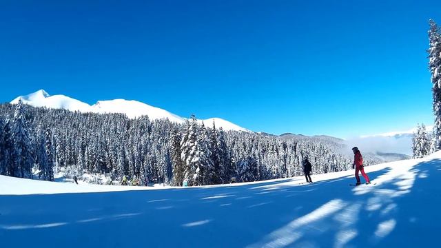 Bansko 2015/16 Beautiful day at Plato 4 смотреть онлайн