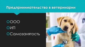 Ветеринарная Клиника - Основа Ветеринарного Бизнеса