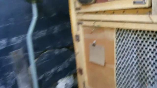 лпх крол-далас обход хозяйства смотреть онлайн