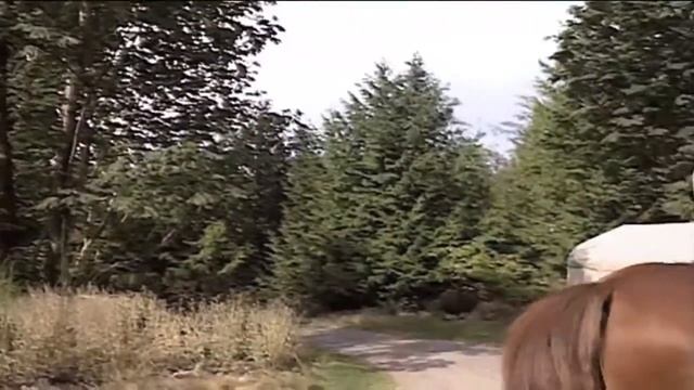 Horse & Rider Pt 4- A bond for life смотреть онлайн