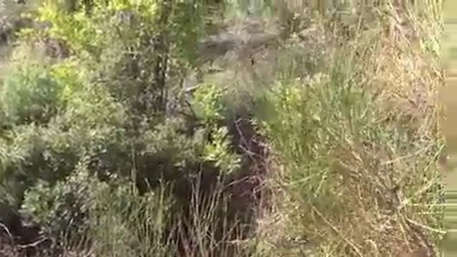 Приглашение в экопоселение zlataoliva смотреть онлайн