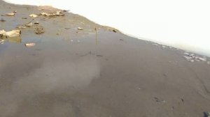 Замор рыбы... Река Амур.