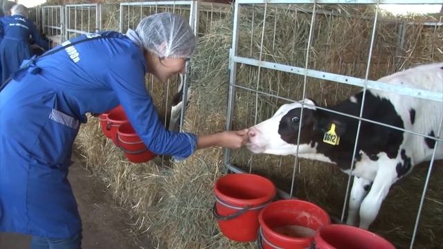 Центр диагностики компетенций и планирования карьеры в Кузбасской ГСХА смотреть онлайн