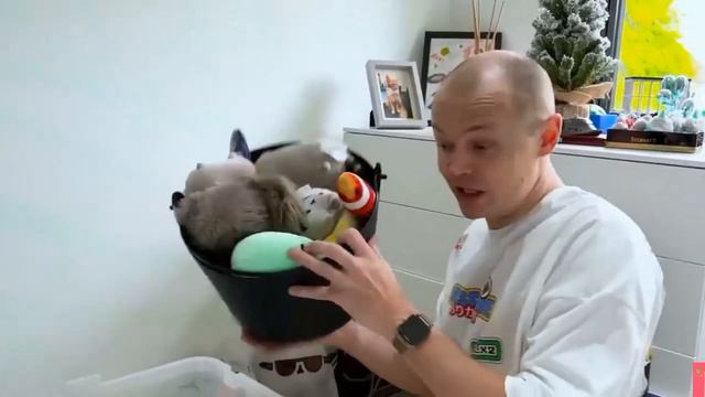 мисс кейти,звук из мультика.типо они кому то говорят смотреть онлайн