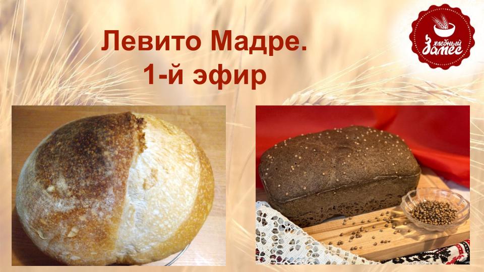 Левитушка. День 1. Эфир 1