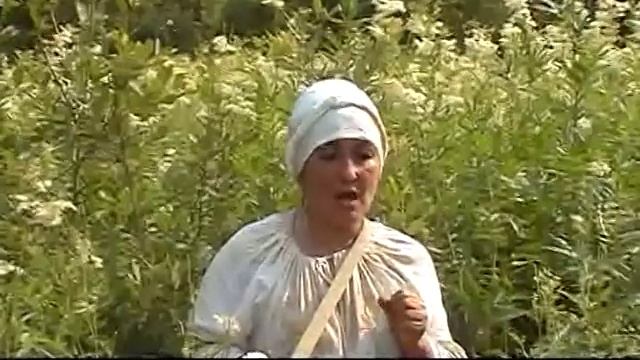 Таволга смотреть онлайн