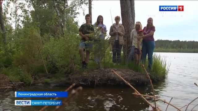 На берегу озера Журавлевского владелец территории полностью закрыл выход к воде смотреть онлайн