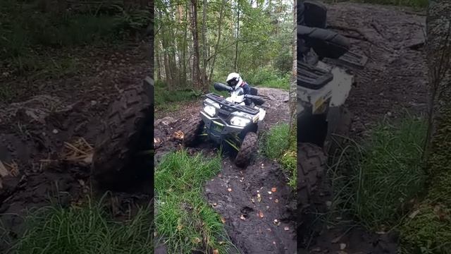 Wild Trak 200Lux за Казённым смотреть онлайн
