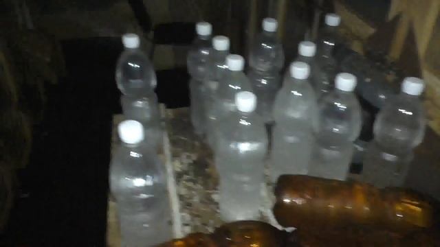 20 февраля 2017, Облет, Первые Весенние Работы в Кассетном Павильоне для Пчел смотреть онлайн