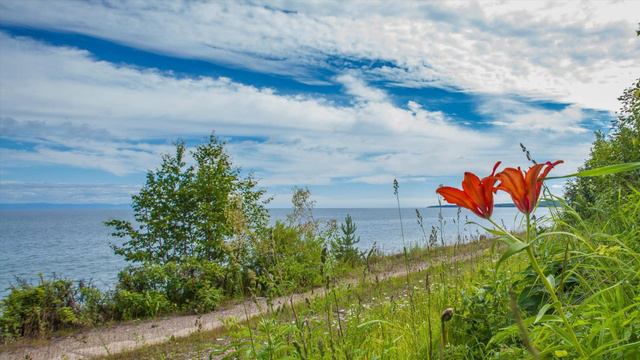 768. ♫.Sarah Brightman ft. Vincent Niclo - "Sogni" (МЕЧТЫ) смотреть онлайн