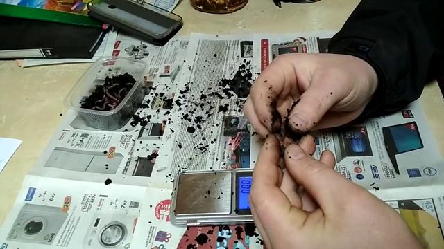 О надежных поставщиках дендробены, качестве червя и соблюдении технологии. смотреть онлайн