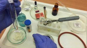 Исследование ферментативных свойств желудочного сока