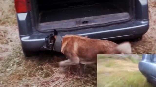 Самые новые военные технологии