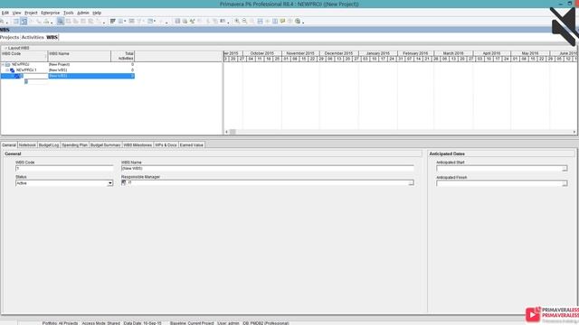 www.primaveralesson.com Oracle Primavera P6 Training смотреть онлайн