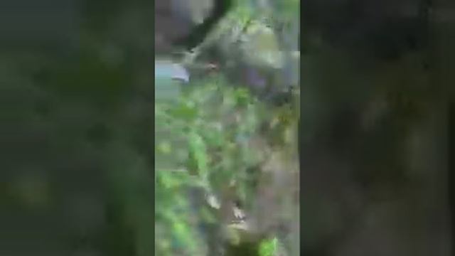 Freaky forest part1 ep3 смотреть онлайн