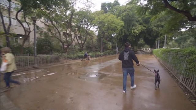 Приглашаем на виртуальную прогулку по Тель-Авиву смотреть онлайн