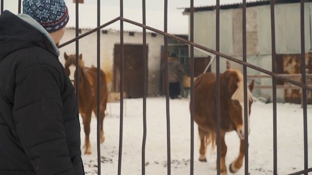 Михаило-Архангельский мужской монастырь глазами трудника. смотреть онлайн