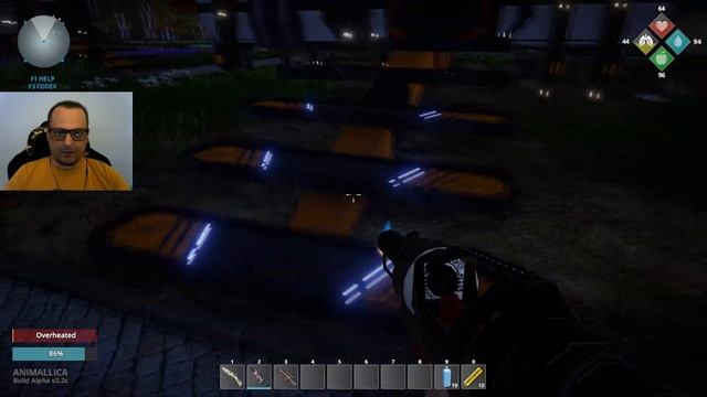 ANIMALLICA ► ПРОХОЖДЕНИЕ #1 ЗАЧИСТКА МЕСТНОСТИ