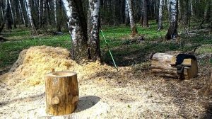 Сосновая колода/борть своими руками часть 8.