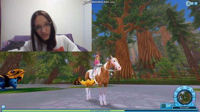 Star Stable ФАКТЫ КОТОРЫЕ ВОЗМОЖНО ВАС УДИВЯТ(НЕ ФАКТ) смотреть онлайн